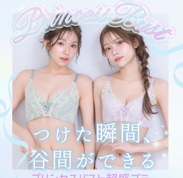 Princess Bust Lift Bra Feature (main image)